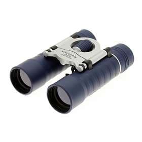 Visionary DX 12x25