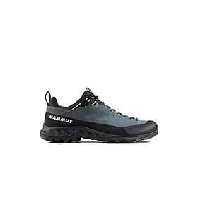 Mammut Alnasca IV Low LTH (Men's)
