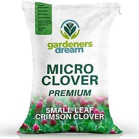 GardenersDream Premium Crimson Clover Grass Seed 0.25kg