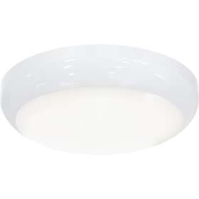 Ansell Lighting Disco Evo 1