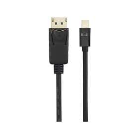 Renkforce Mini DisplayPort to DisplayPort Cable 3m RF-4538178