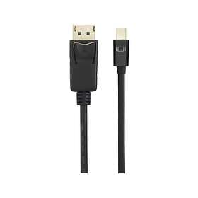 Renkforce DisplayPort to Mini DisplayPort Cable 2m RF-4538176