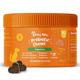 Zesty Probiotic Chews 50 Count Pumpkin