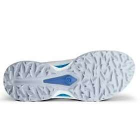 Ecco Biom C5 Boa GTX (Men's)
