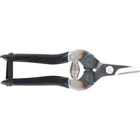 ARS 310 Fruit Pruner