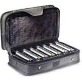 Stagg Blues Harmonica Set