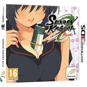 Senran Kagura Burst (3DS)