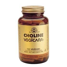 Solgar Choline 350mg Vegetable 100 Capsules