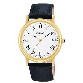 Pulsar Watches PG8238