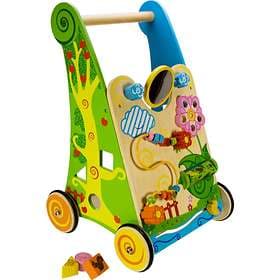 Bigjigs Flower Activity Walker