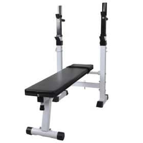 vidaXL Fitness Workout Bench Straight Weight