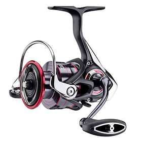 Daiwa Fuego LT 2000D