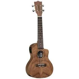 Tanglewood TWT 13E