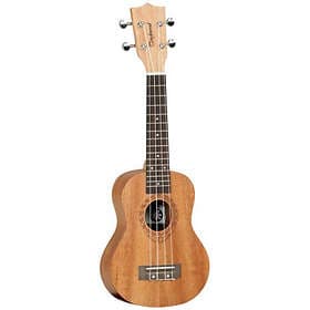 Tanglewood TWT 1