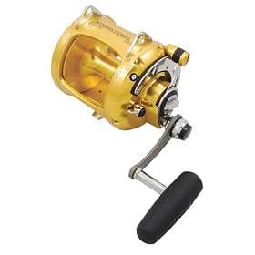 Penn Fishing International VISW 50
