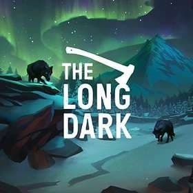 The Long Dark (PC)