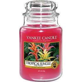 Yankee Candle Tropical Jungle Large Jar