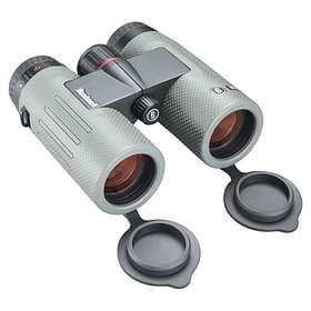 Bushnell Nitro 10x36