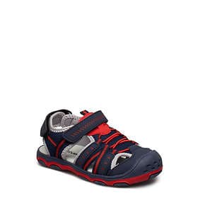 Gulliver 433-0696 (Jr)