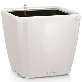Lechuza Quadro LS 35cm