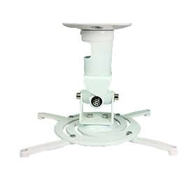 Amer Mounts AMRP100