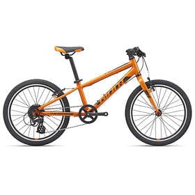 Giant ARX 20"