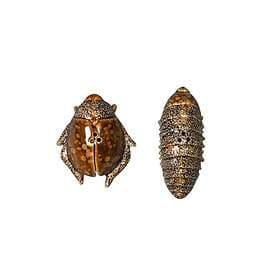 By On Bug Salt and Pepper Set