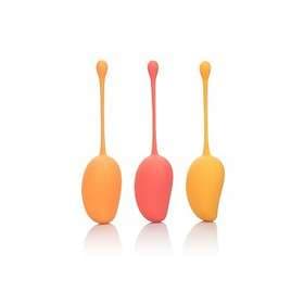 CalExotics Kegel Training Set