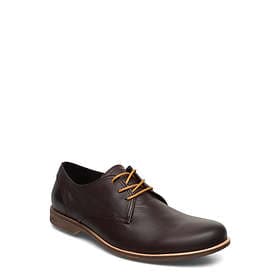 Sneaky Steve Fall Low (Men's)