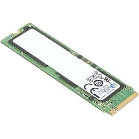 Lenovo 02HM101 256GB