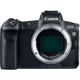 Canon EOS R + RF 24-105/4.0-7.1 IS STM + EF-EOS Adapter