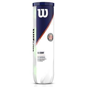 Wilson Roland Garros All Court (8 balls)