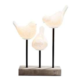 Kare Birds