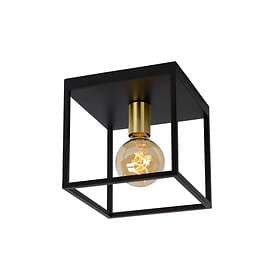 Lucide Ruben (1L)