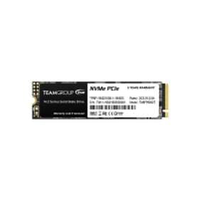 Team Group MP33 M.2 2280 256GB