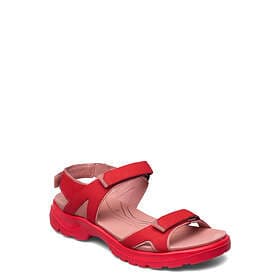 Ecco Offroad 822153 (Women's)