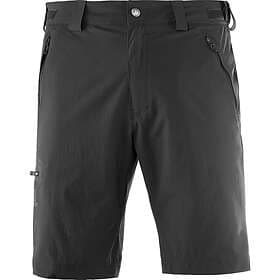 Salomon Wayfarer Shorts (Men's)