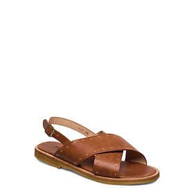 Angulus 5595 (Women's)