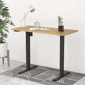FlexiSpot Height Adjustable Standing Desk EC1 With Easy-to-control Settings