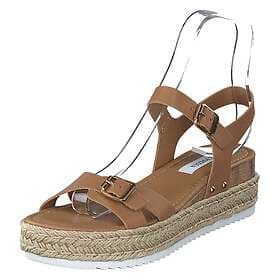 Steve Madden Cam Tan (Women's)