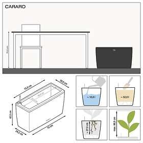Lechuza Cararo Planter 75cm