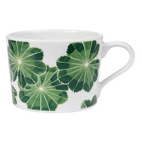 Götefors Botanica Cup 24cl