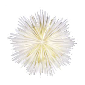 Watt & Veke Molly 44cm