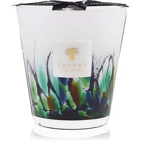 Baobab Collection Rainforest Amazonia Scented Candle 16cm