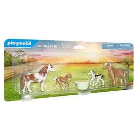 Playmobil Country 71000 Icelandic Ponies with Foals