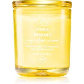 DW Home Citrus Orchard Scented Candle 264g