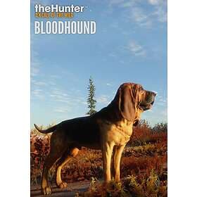 TheHunter: Call of the Wild - Bloodhound (Expansion) (PC)