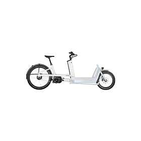 Bergamont E-Cargoville LJ (Electric)
