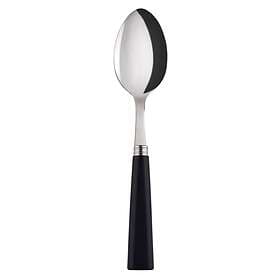 Sabre Paris Nature Dinner Spoon