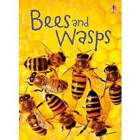 Bees and Wasps